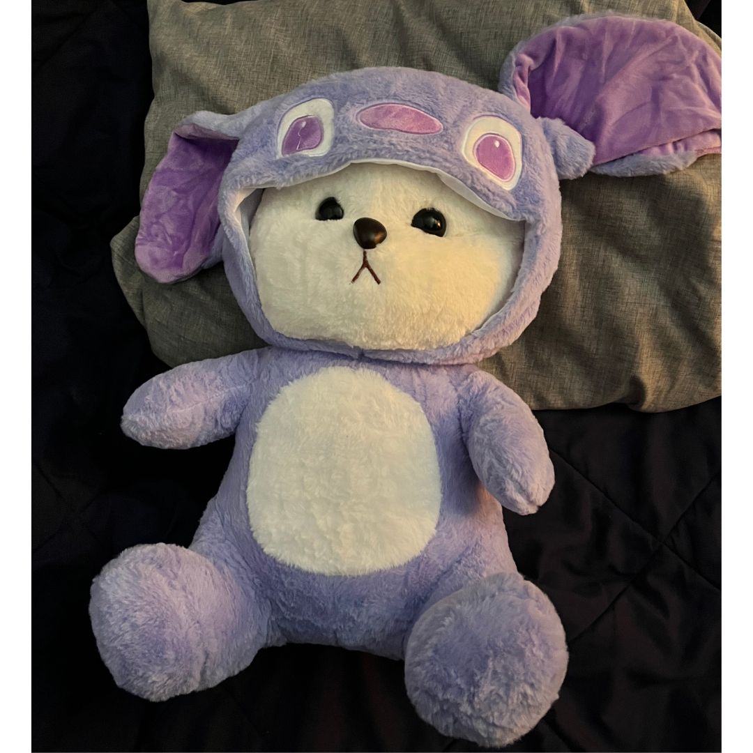 Osito de peluche 2 en 1