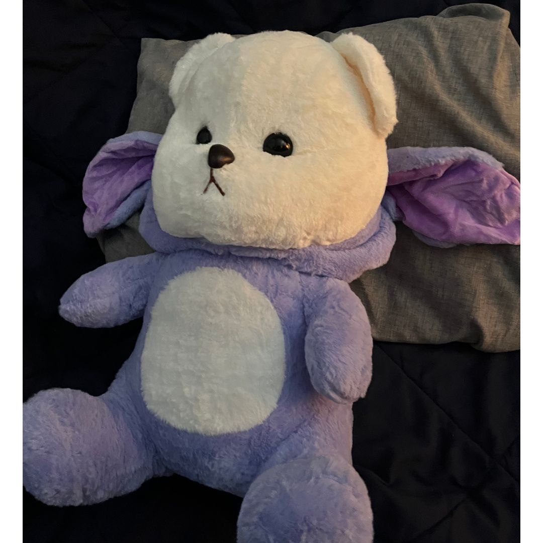 Osito de peluche 2 en 1